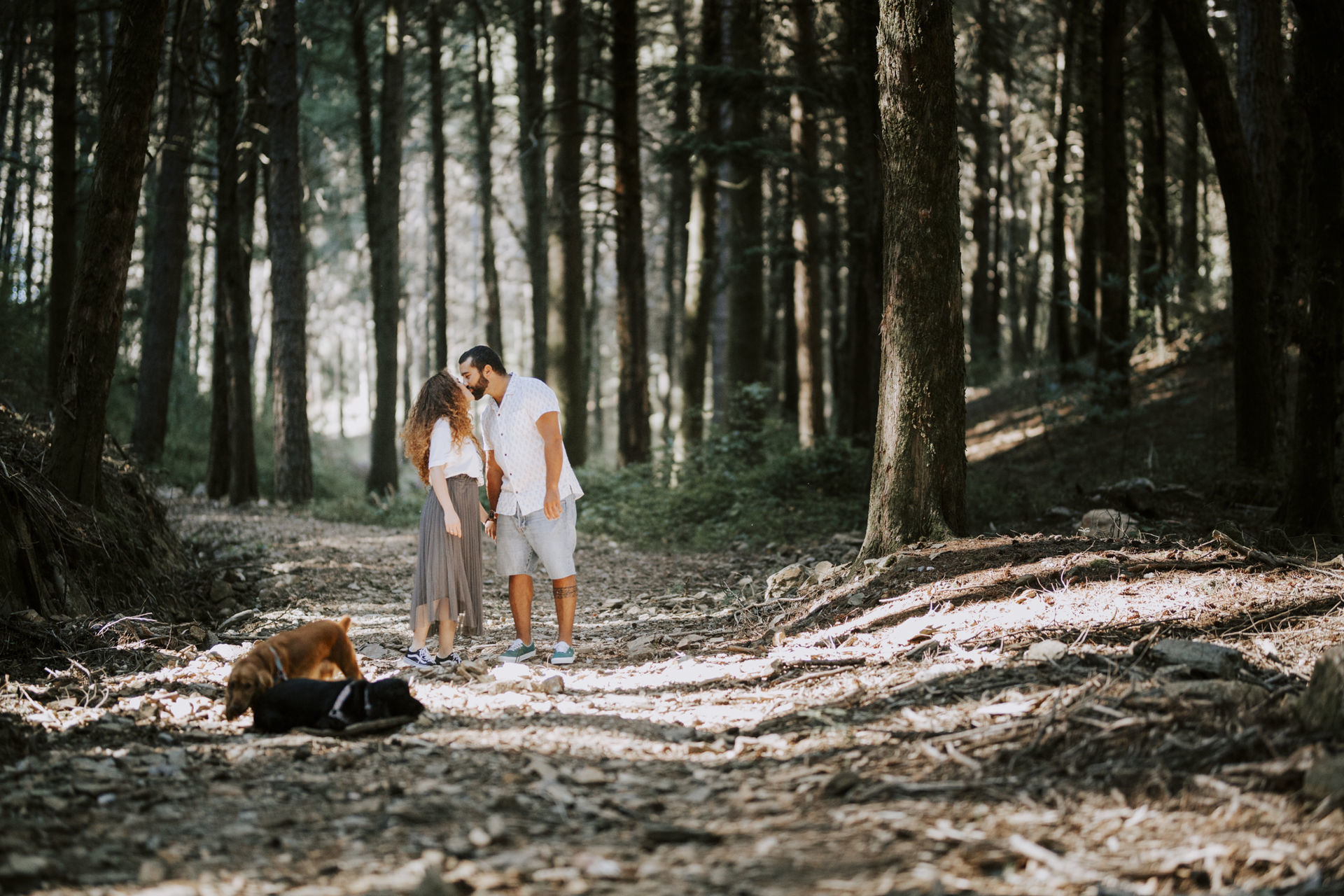 Foto Sessão Solteiros na Serra do Caramulo - Samanta e Pedro Foto Sessão Solteiros na Serra do Caramulo - Samanta e Pedro - Imagem 6
