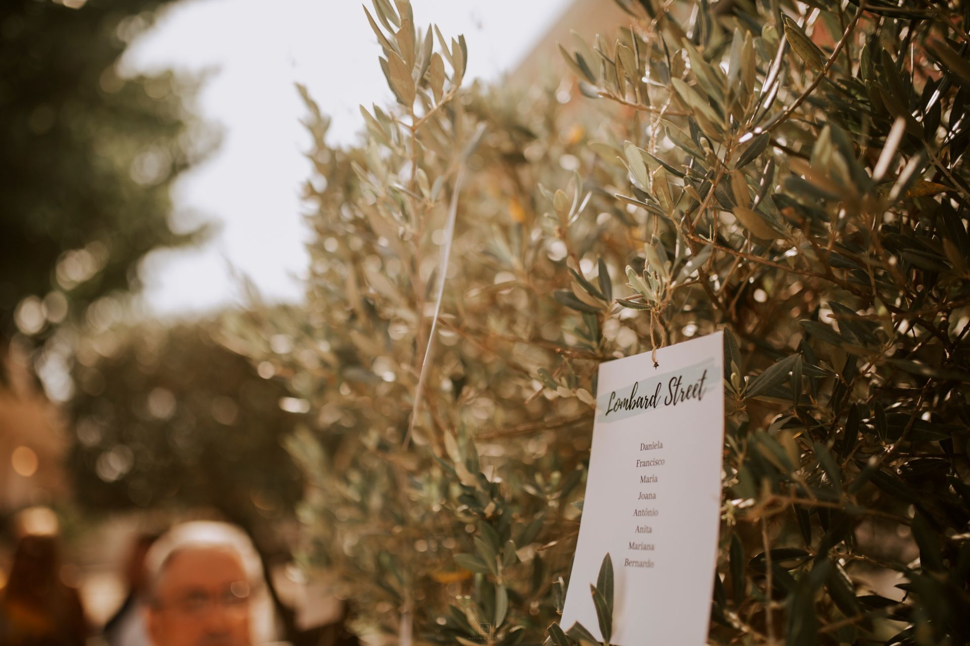 Foto Casamento incrível na Quinta da Magarenha em Viseu - Joana // Roberto Foto Casamento incrível na Quinta da Magarenha em Viseu - Joana // Roberto - Imagem 73