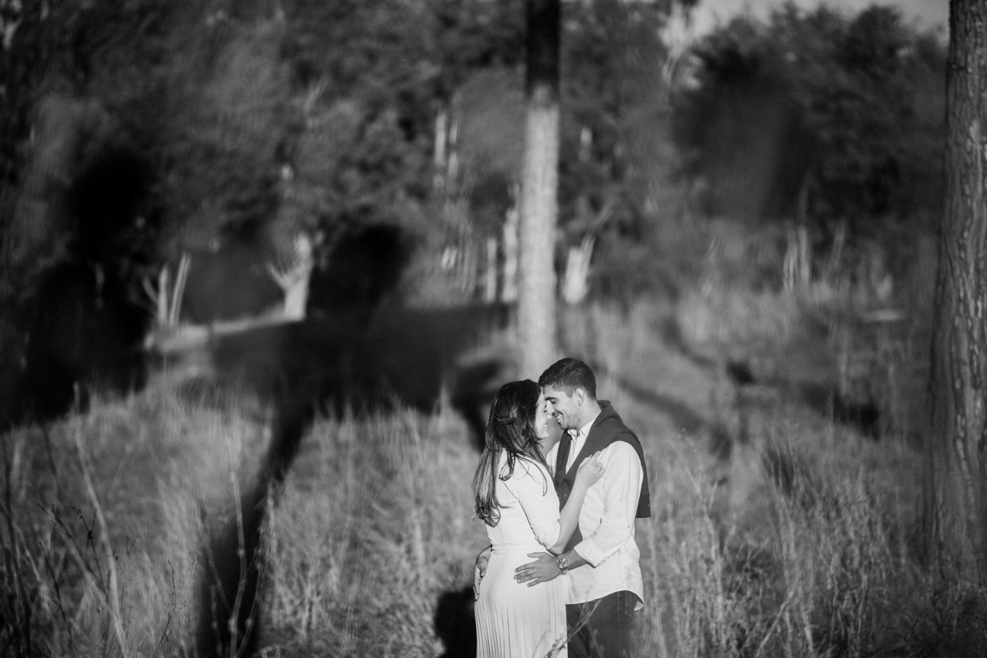 Foto Sessão Pré-Casamento - Sara e Bernardo Foto Sessão Pré-Casamento - Sara e Bernardo - Imagem 34